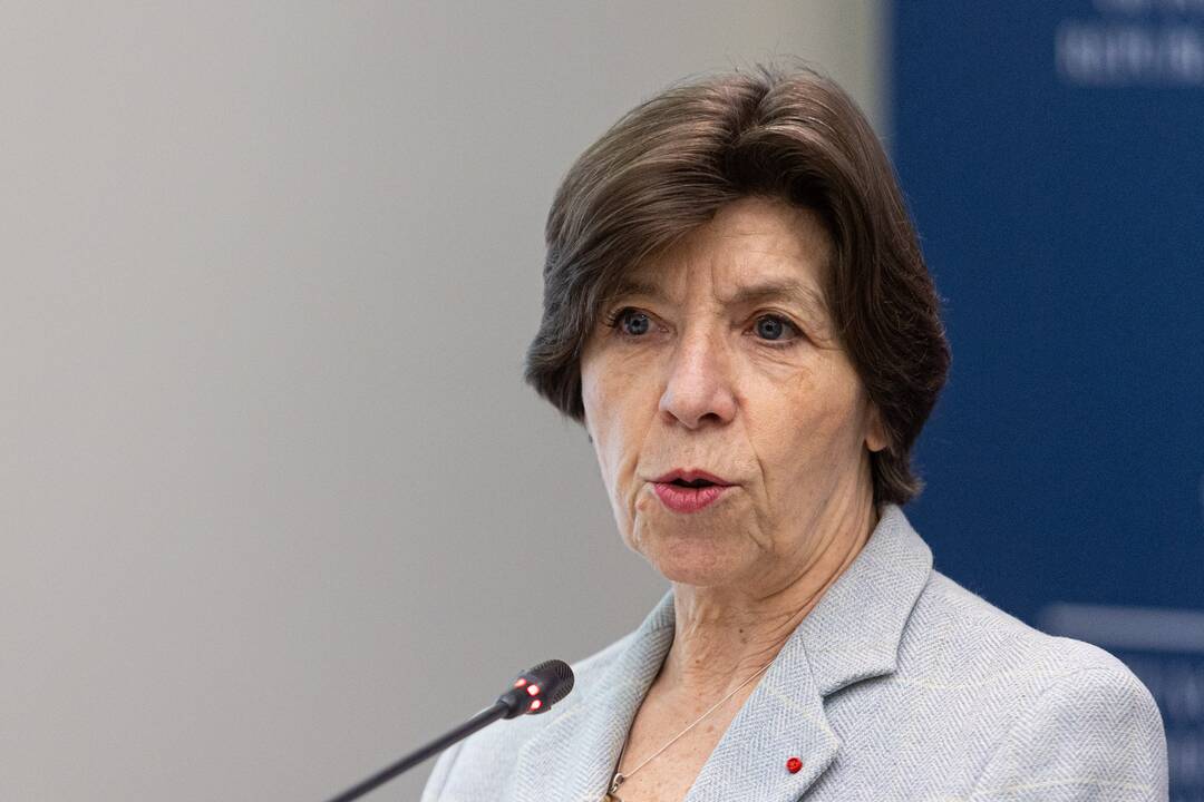 G. Landsbergio ir Prancūzijos ministrės spaudos konferencija