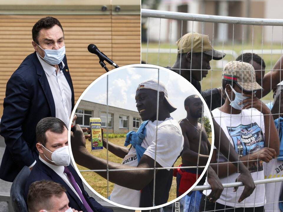 P. Gražulis įregistravo projektą: siūlo įdarbinti nelegalius migrantus