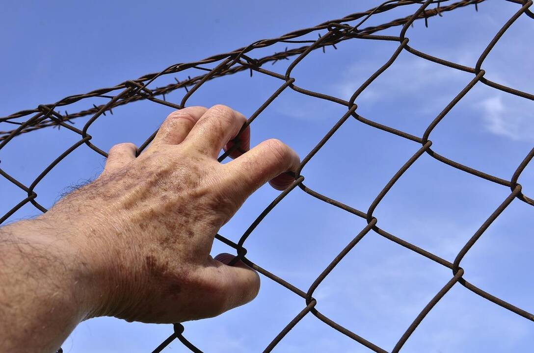 Brazilijoje nuteisti lietuviai galės būti perduodami bausmę atlikti Lietuvoje