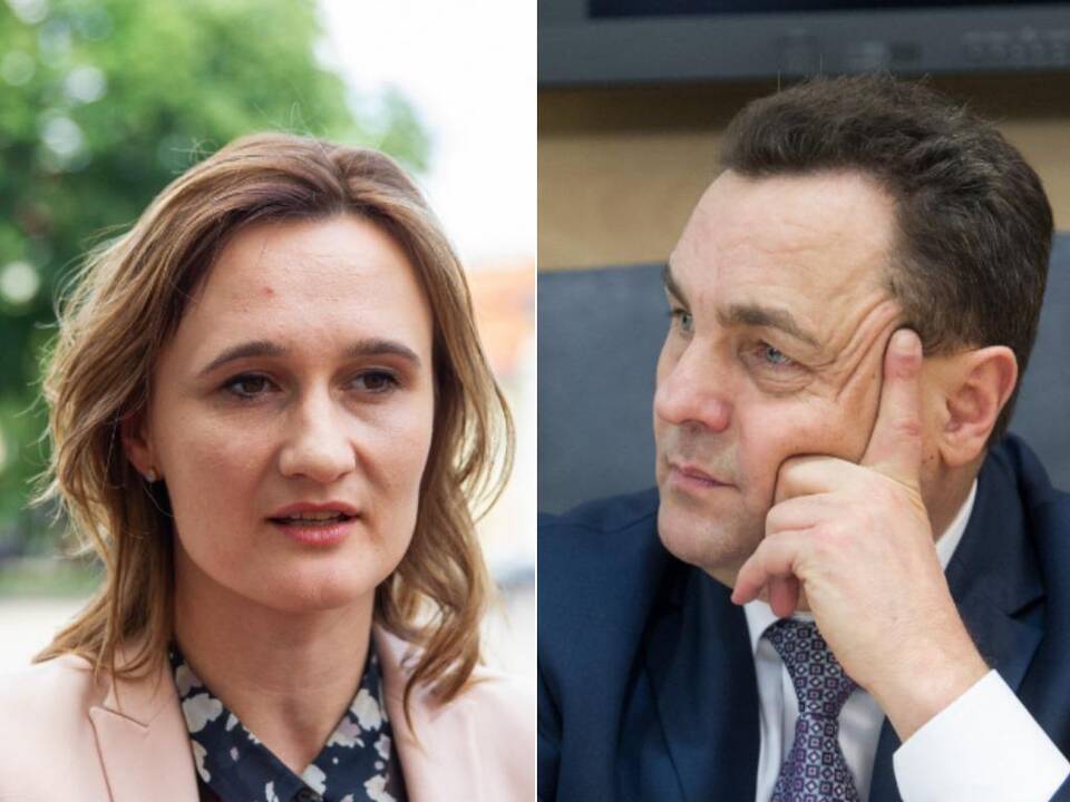 Opozicijos lyderė neatmeta galimybės rengti apkaltą P. Gražuliui