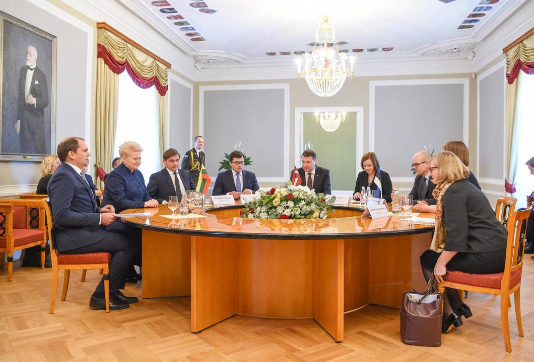 Baltijos šalių ir Vokietijos vadovų susitikimas