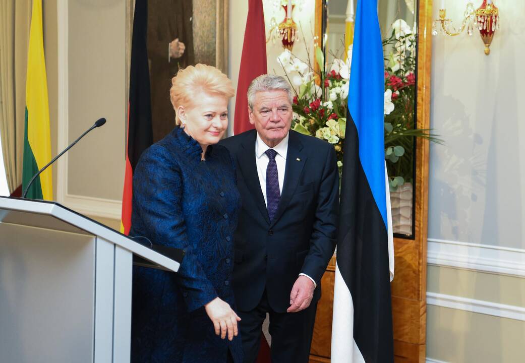 Baltijos šalių ir Vokietijos vadovų susitikimas