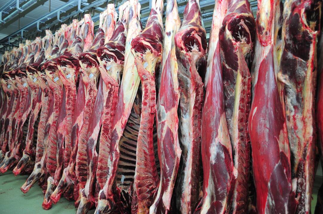 Rusija ruošiasi atšaukti lietuviškos kiaulienos produkcijos embargą (papildyta)