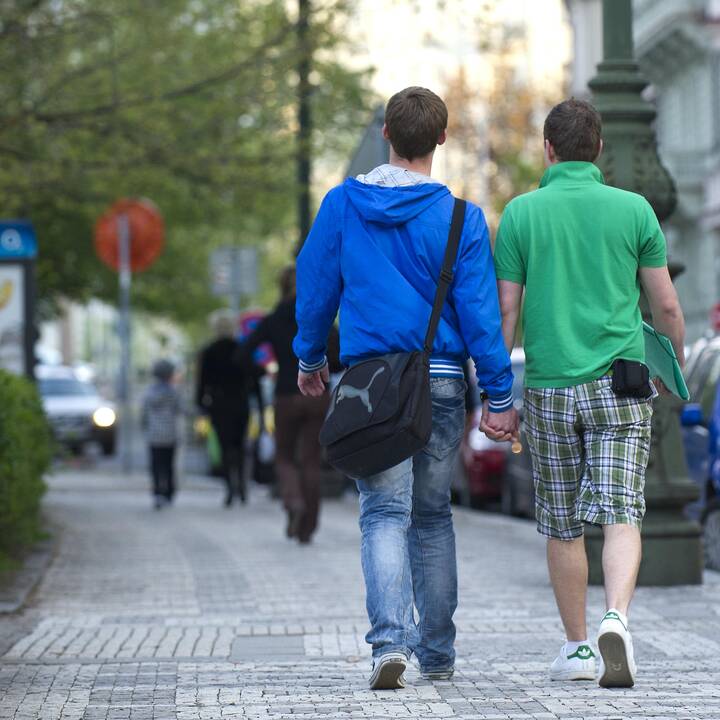 Gaudamos teisinę valstybės apsaugą homoseksualios poros įgytų ir pareigų