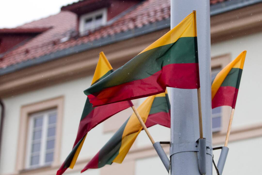 Vilniuje ir Švenčionyse pavogtos valstybės vėliavos