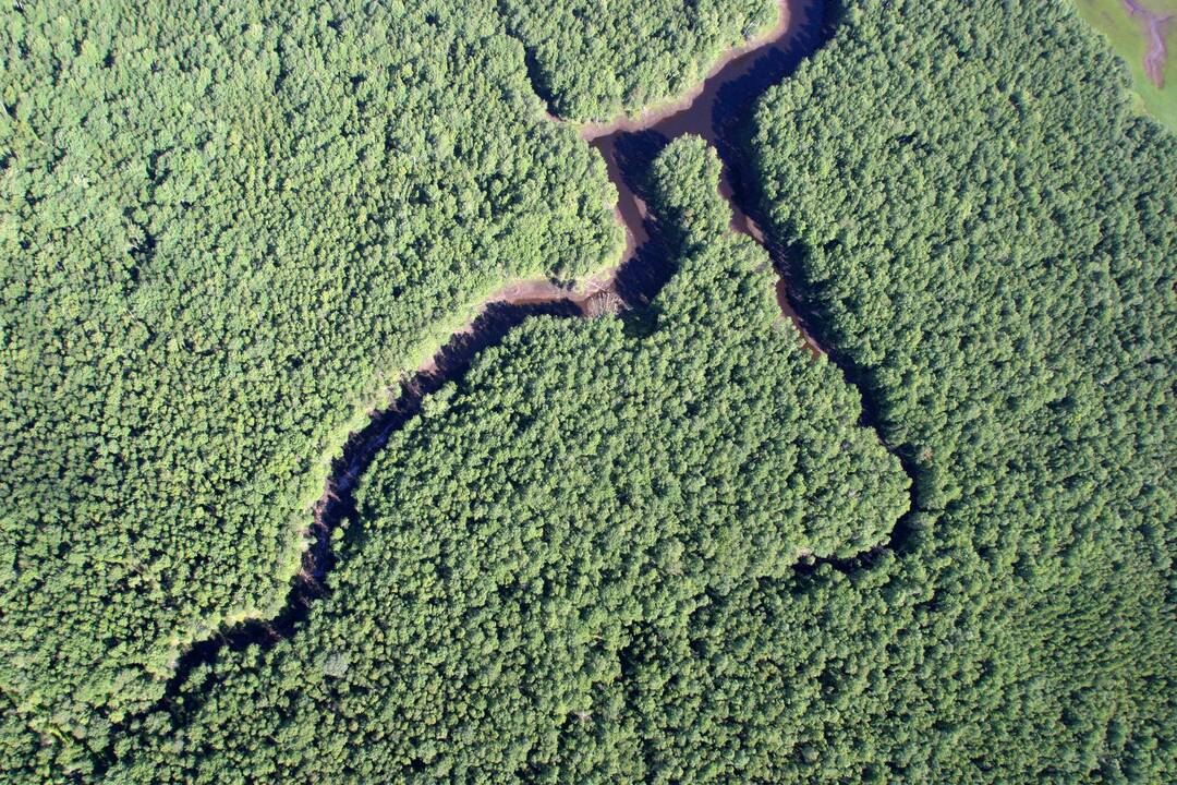 Urėdijų pertvarka: staigių permainų nebus