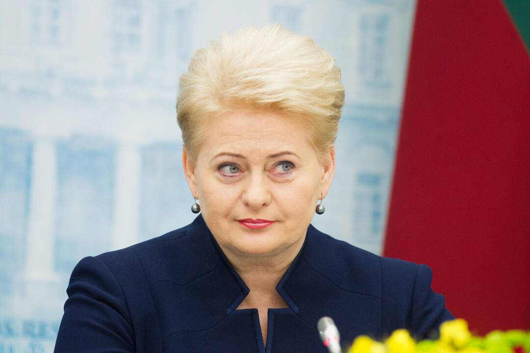 D. Grybauskaitė: sprendimas gelbėti LJL – trumpalaikis