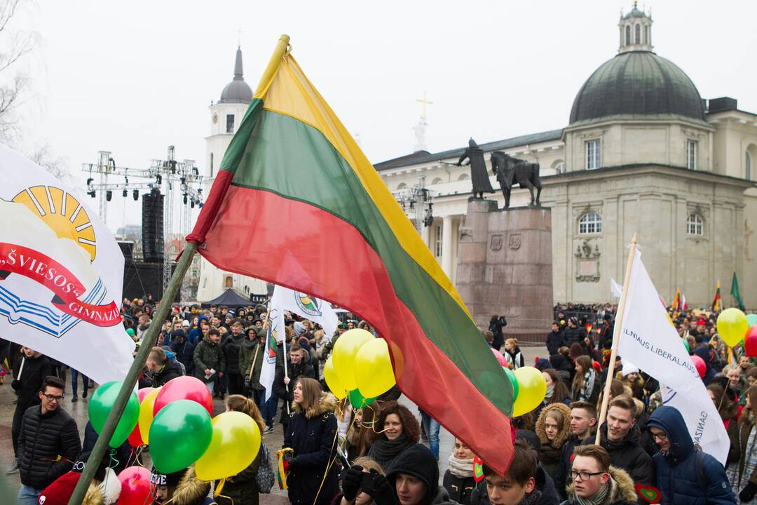 Politikai susirūpino dėl valstybės atkūrimo šimtmečio jubiliejaus