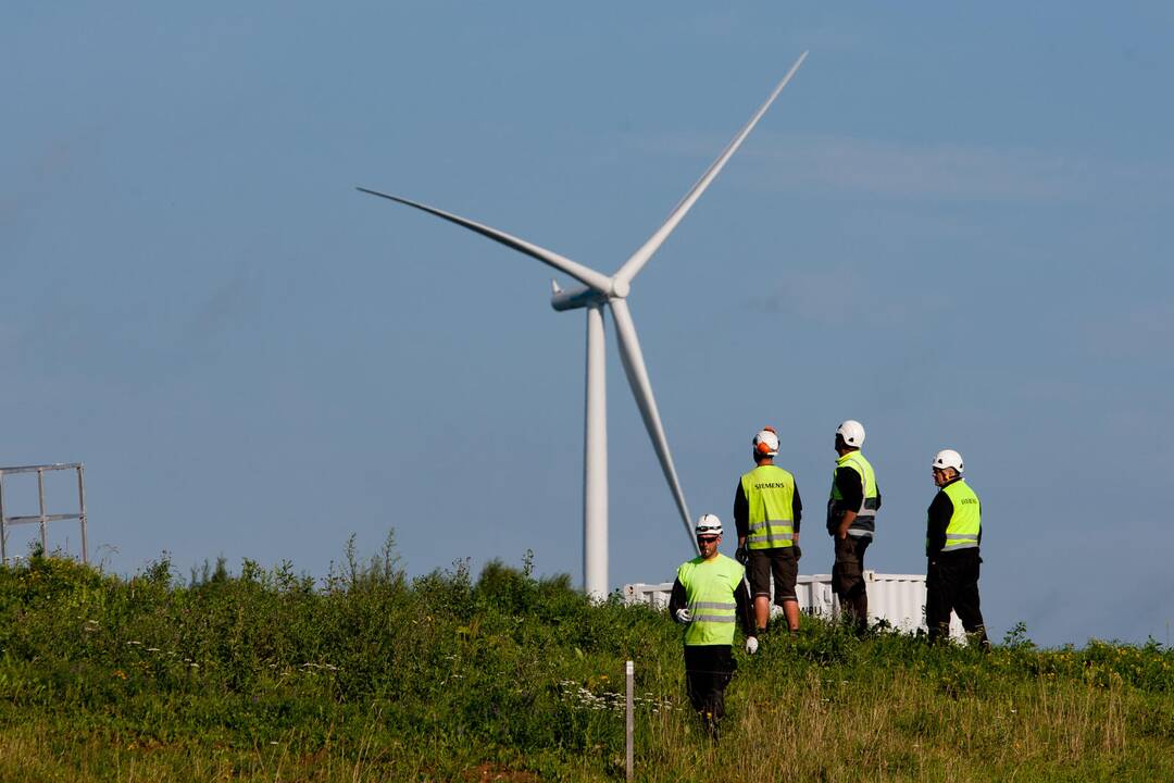 Vėjo jėgainėms Lietuvoje trukdo paukščiai, saulės energijai – debesys?