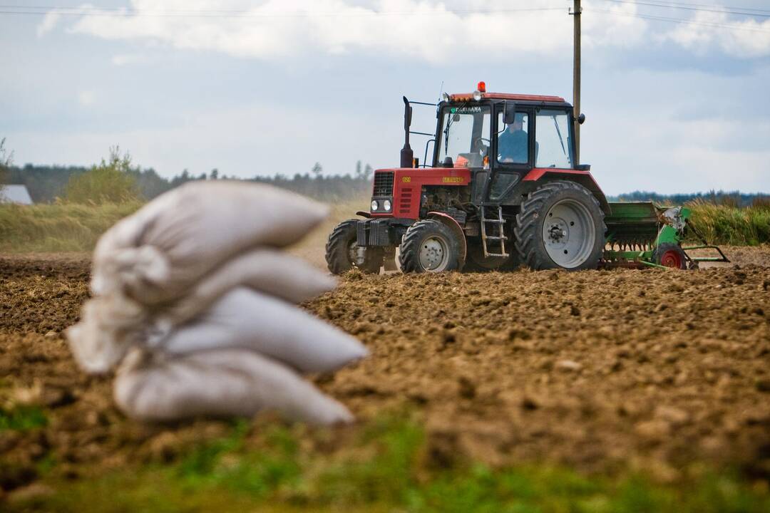 Lietuvos netenkina EK siūlymas dėl tiesioginių išmokų ūkininkams