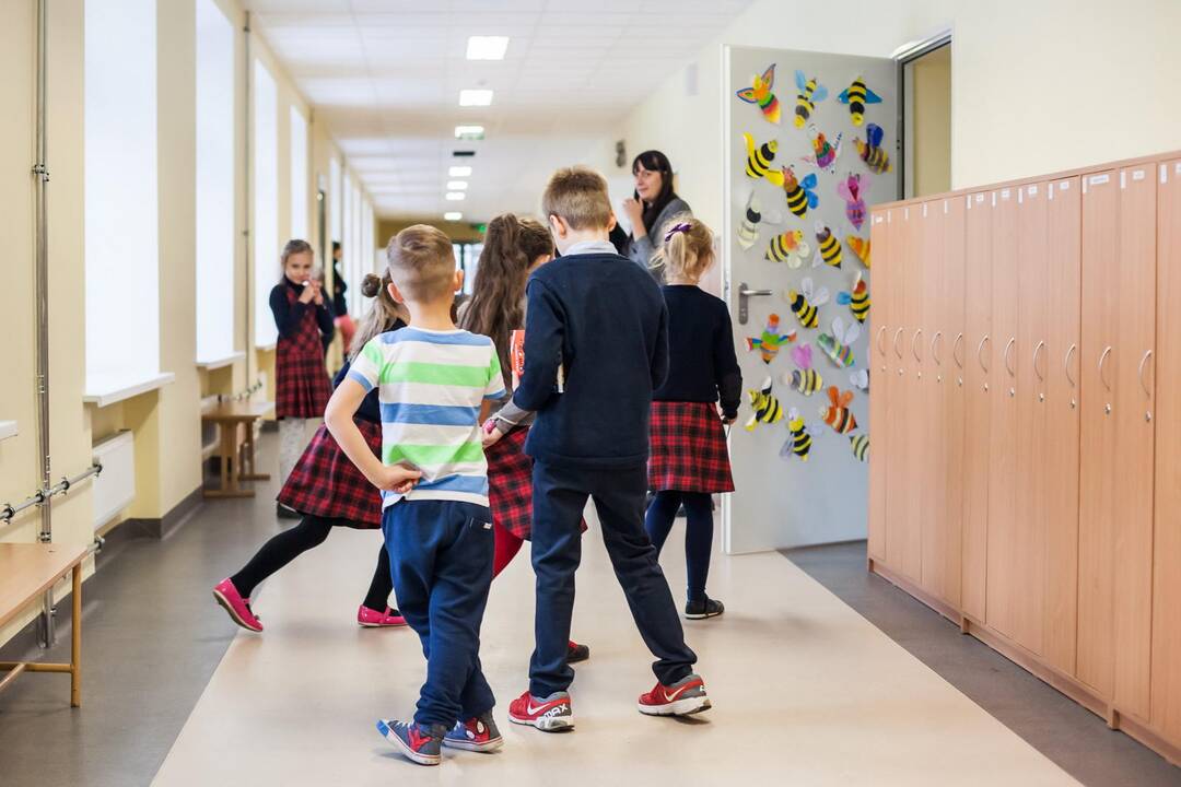 Į klases grįžo dar 8 tūkst. pradinukų, iš viso mokyklas lanko 71 tūkst.