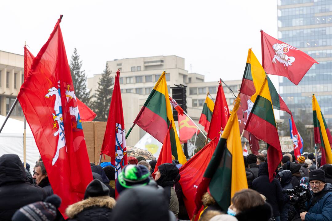 Protestas prie Seimo Sausio 13-ąją