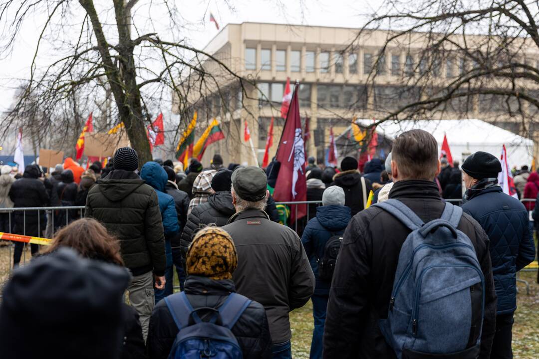 Protestas prie Seimo Sausio 13-ąją