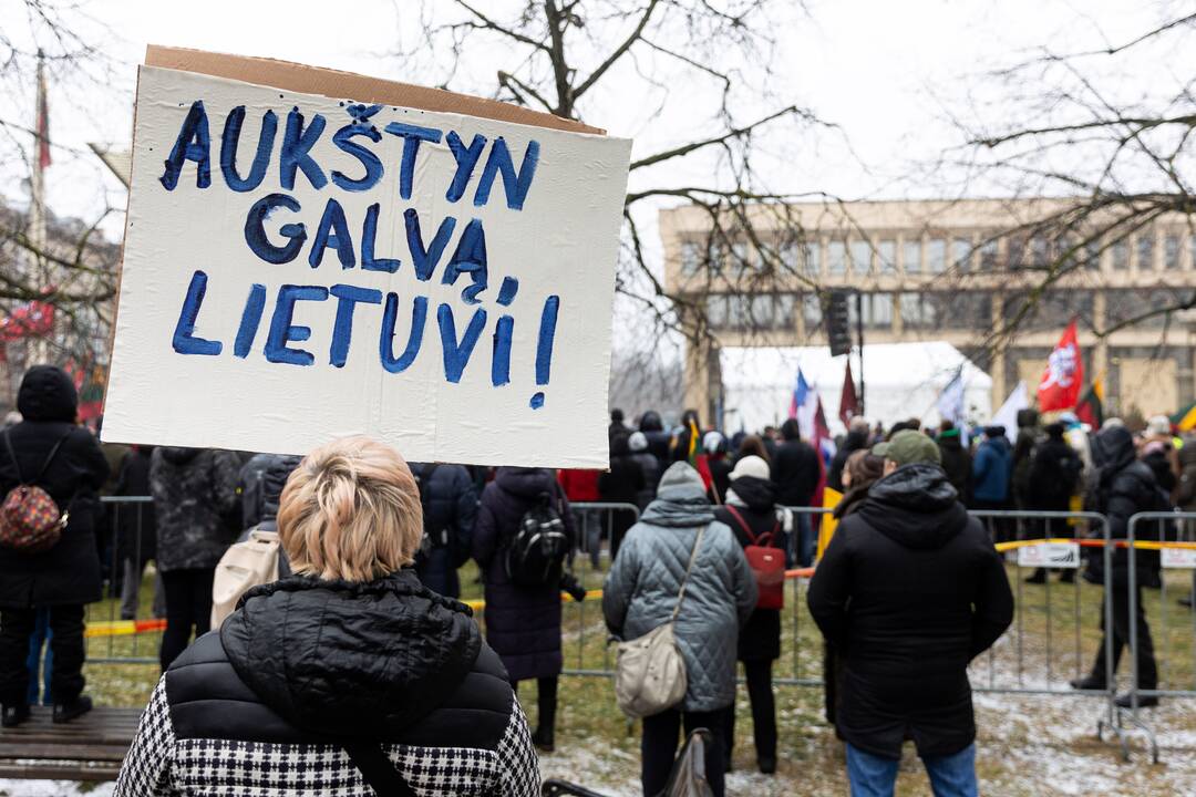 Protestas prie Seimo Sausio 13-ąją