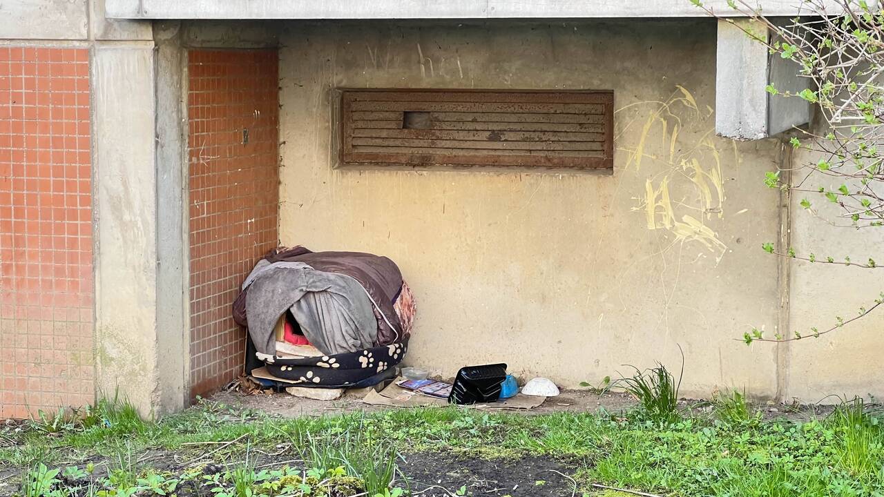 Teršia: prie savadarbio namelio katėms primėtyta įvairių atliekų.