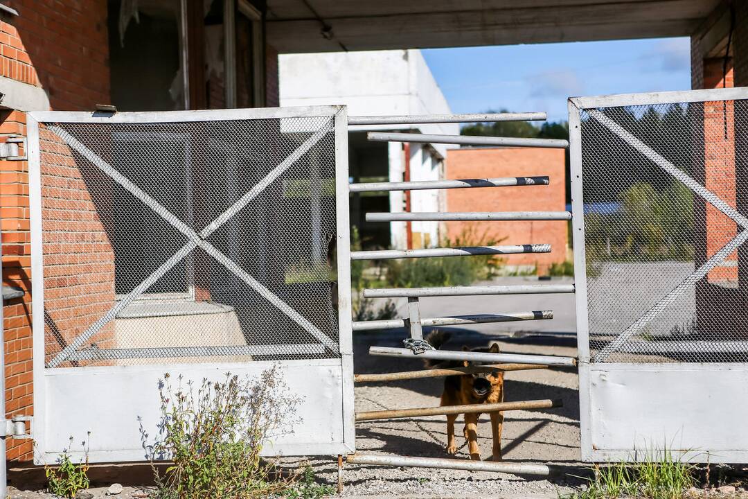 Partizanų g. neuždengti šuliniai kelia pavojų