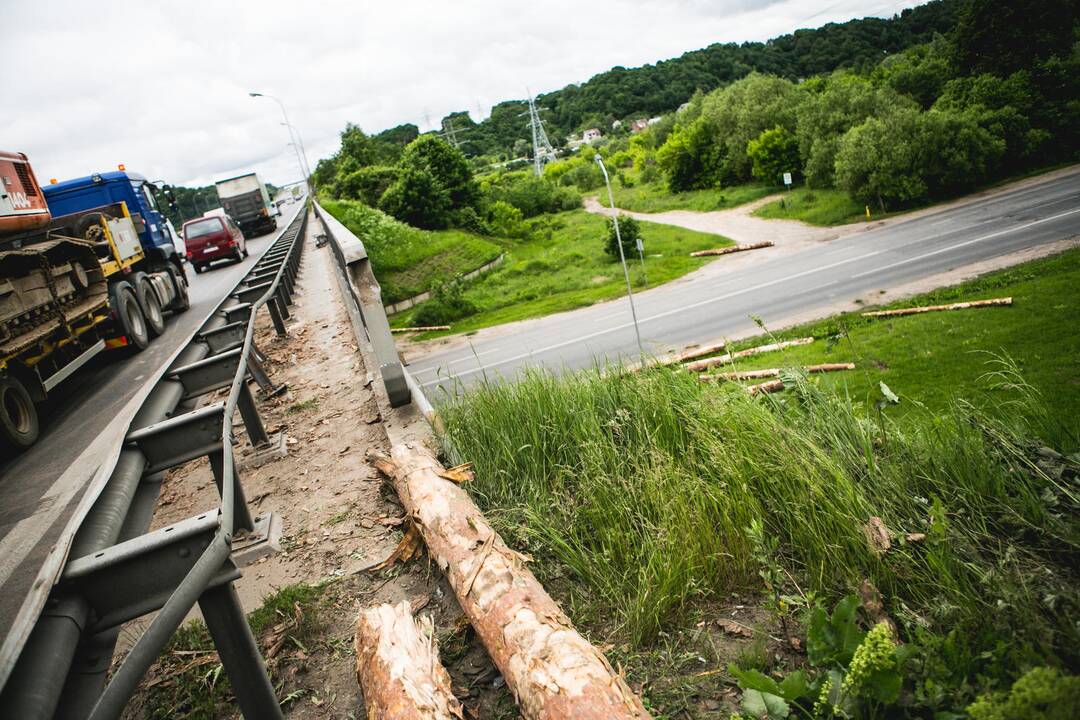 Kaune vilkikas išbarstė rąstus