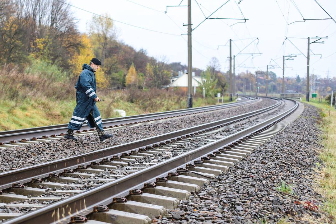 Dingusio berniuko sėkmingos paieškos