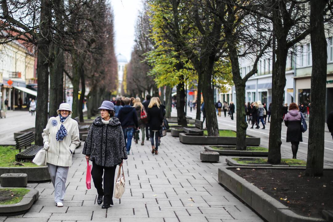 Ekskursija po Laisvės alėją "Paldieninkas: patirk laisvę naujai"