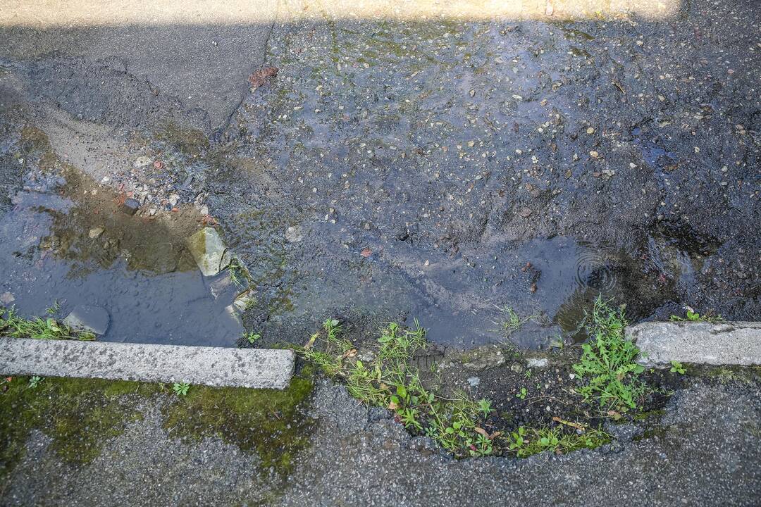 Vandentiekio avarija Dainos gatvėje