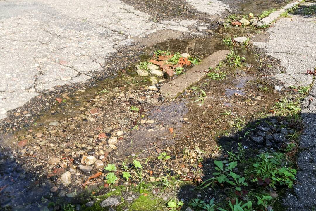 Vandentiekio avarija Dainos gatvėje