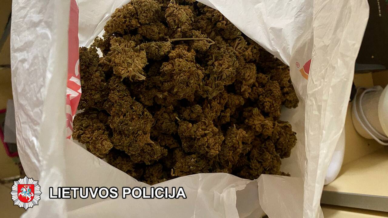 Įkalčiai: pas nepilnametį namuose policininkai rado parduoti paruoštų kanapių.
