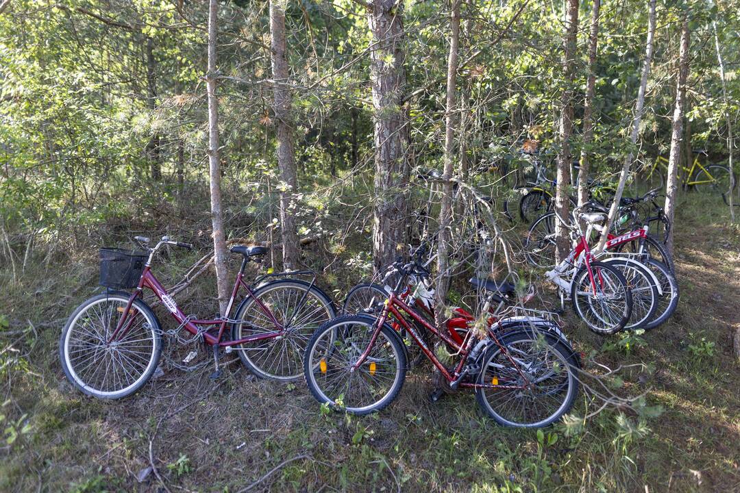 Eilės į Baltarusiją per Šumską