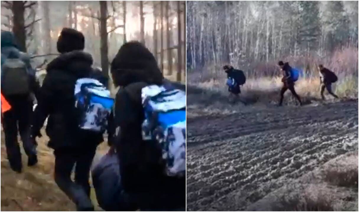Užfiksavo neteisėtus migrantus: baltarusiai, privertę eiti į Lietuvą, grasino sulaužyti kojas