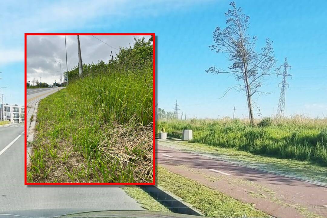Šienavimo kokybė įvertinta baudomis