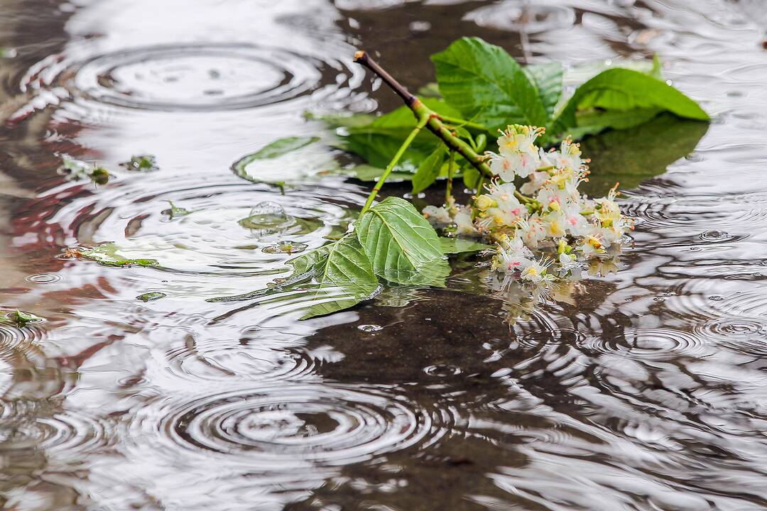 Hidrometeorologai: meteorologinė sausra iš Lietuvos atsitraukia