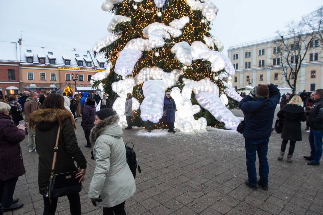 Kalėdos prie pagrindinės Kauno eglės