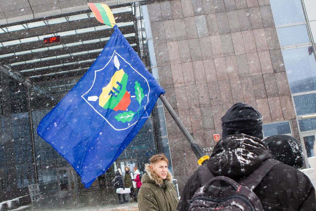 Akcija „Šimašiau, neišvaryk irkluotojų iš Vilniaus!“