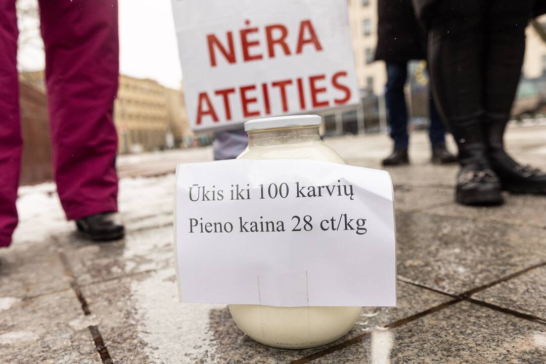 Pienininkų protestas prie Vyriausybės