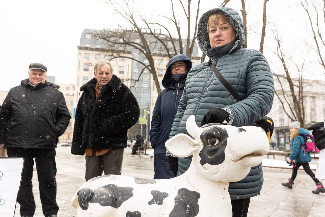 Pienininkų protestas prie Vyriausybės
