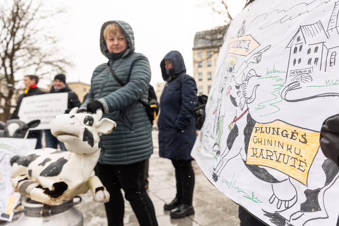 Pienininkų protestas prie Vyriausybės