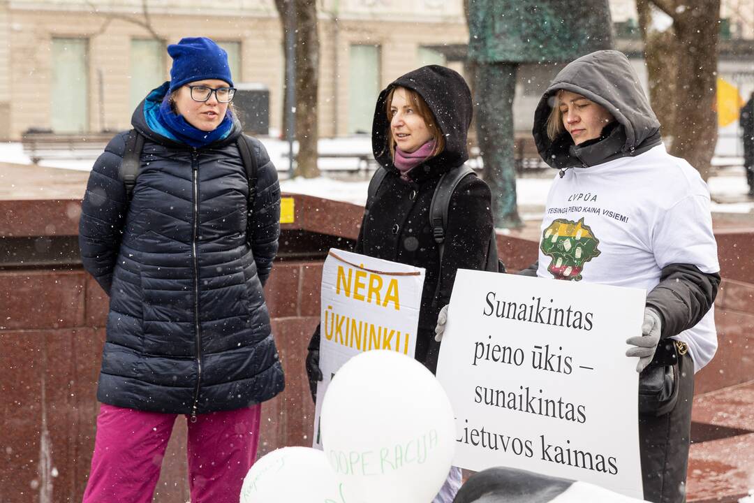 Pienininkų protestas prie Vyriausybės