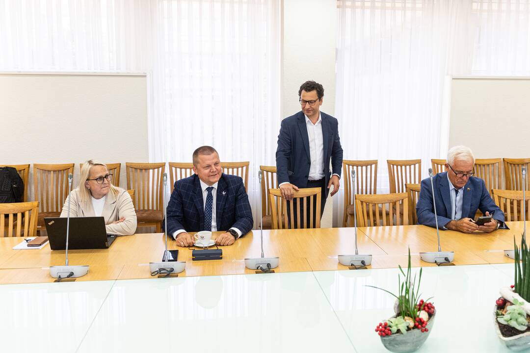 I. Šimonytė susitinka su Seimo frakcijomis