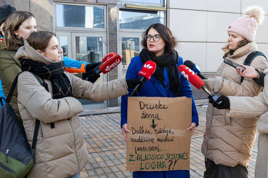 Protestas dėl perteklinio druskos naudojimo prižiūrint gatves