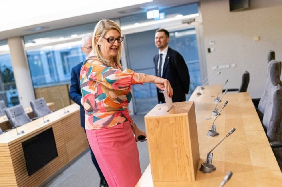 Seimas – prieš mažesnę rinkimų kartelę užsienio lietuviams, už partijų teistumo nurodymą