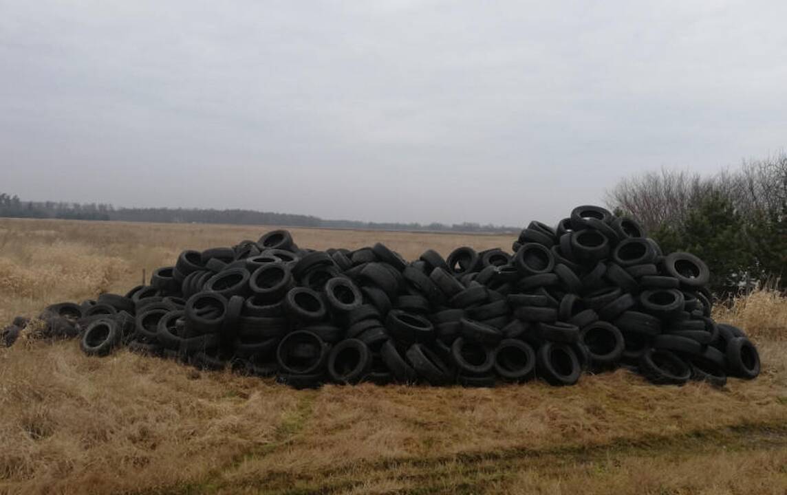 Klaipėdos rajone aptikta naudotų padangų krūva
