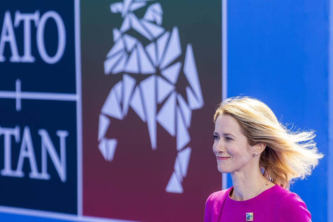 NATO viršūnių susitikimas Vilniuje (I diena)
