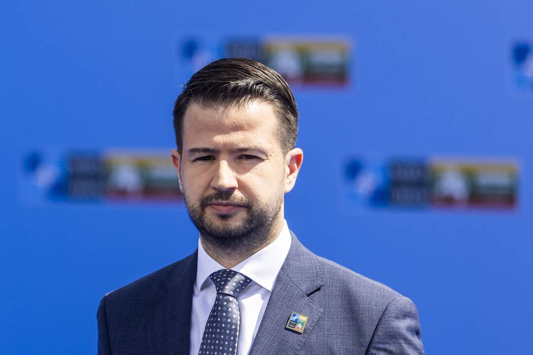NATO viršūnių susitikimas Vilniuje (I diena)