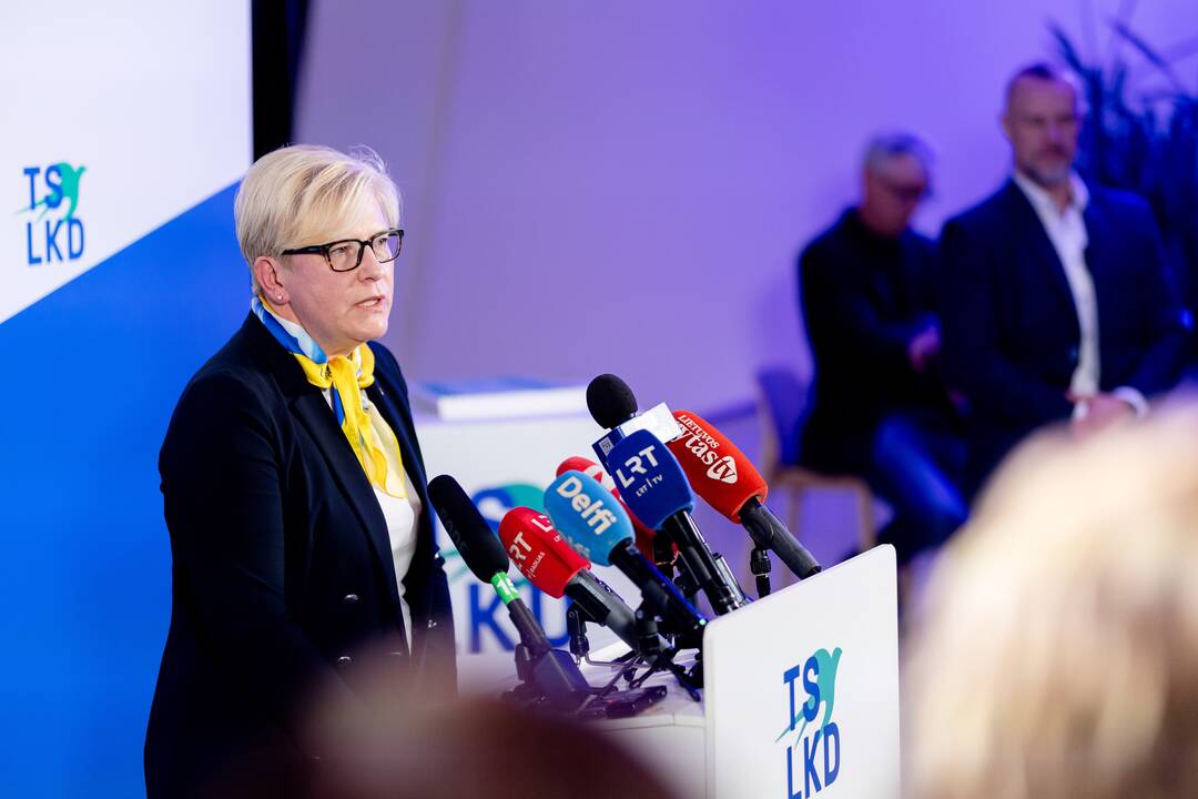 2024-ųjų Seimo rinkimai: TS-LKD nariai laukia rinkimų rezultatų