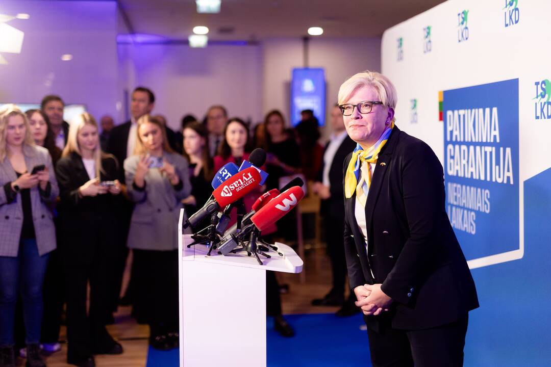 2024-ųjų Seimo rinkimai: TS-LKD nariai laukia rinkimų rezultatų