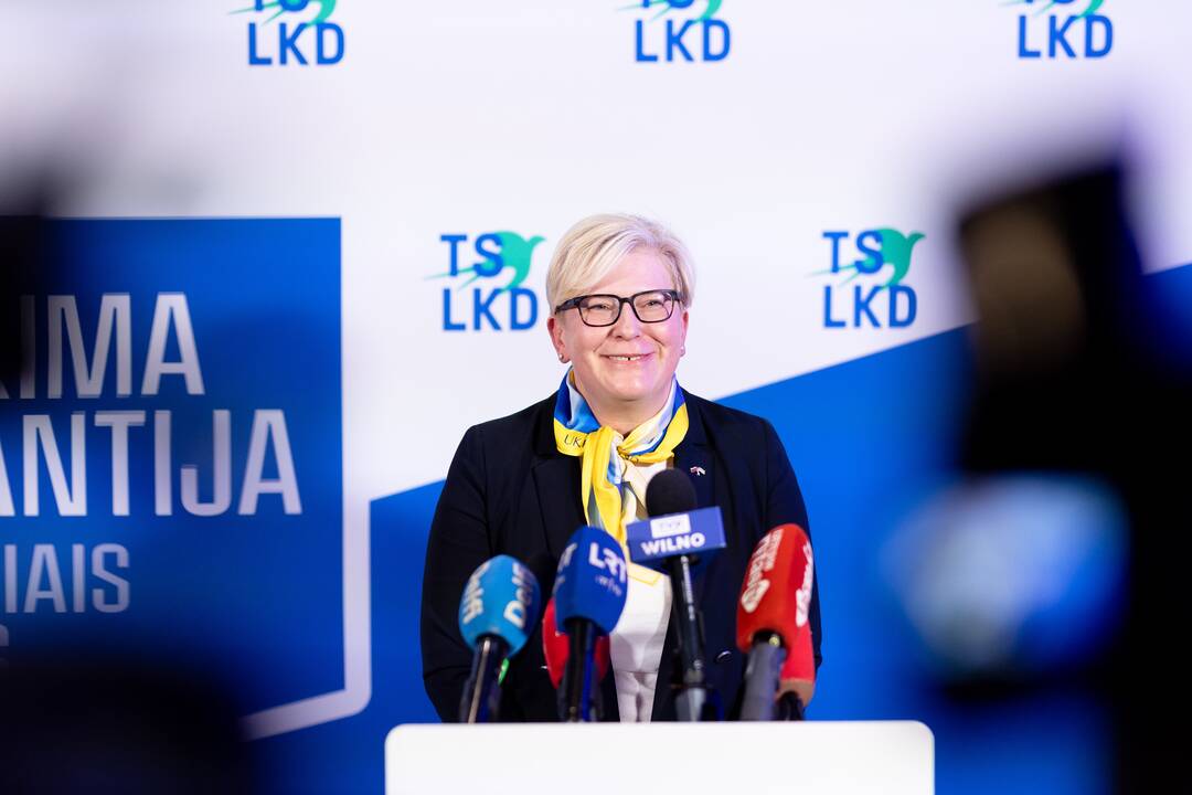 2024-ųjų Seimo rinkimai: TS-LKD nariai laukia rinkimų rezultatų