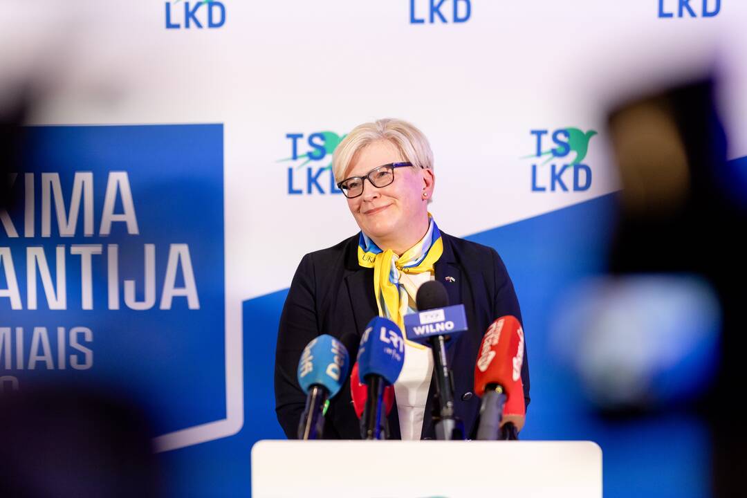 2024-ųjų Seimo rinkimai: TS-LKD nariai laukia rinkimų rezultatų