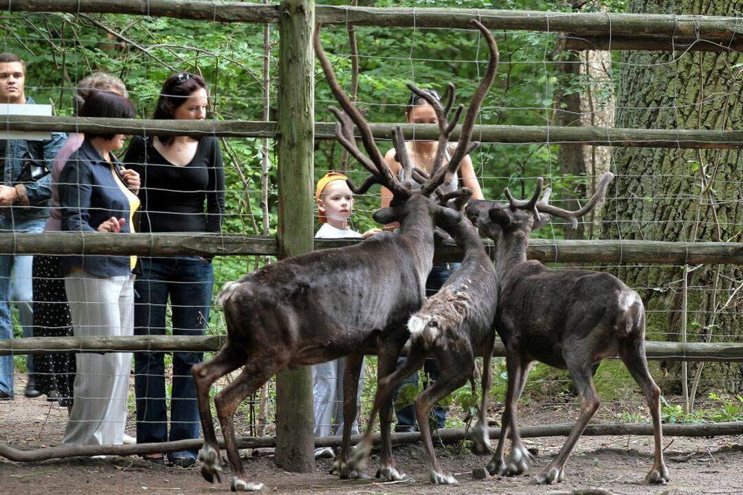 K. Mažeika: rekonstrukcijos darbai Kauno zoologijos sode prasidės artimiausiu metu