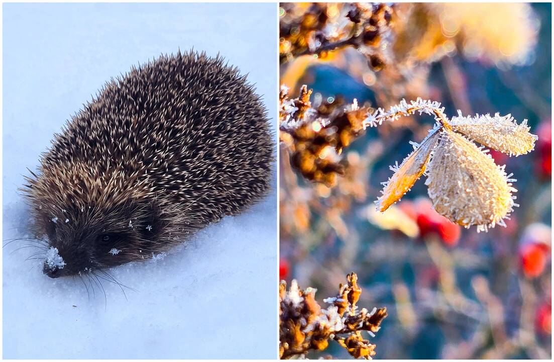 Orai Lietuvoje: savaitės pabaigoje – pokyčiai