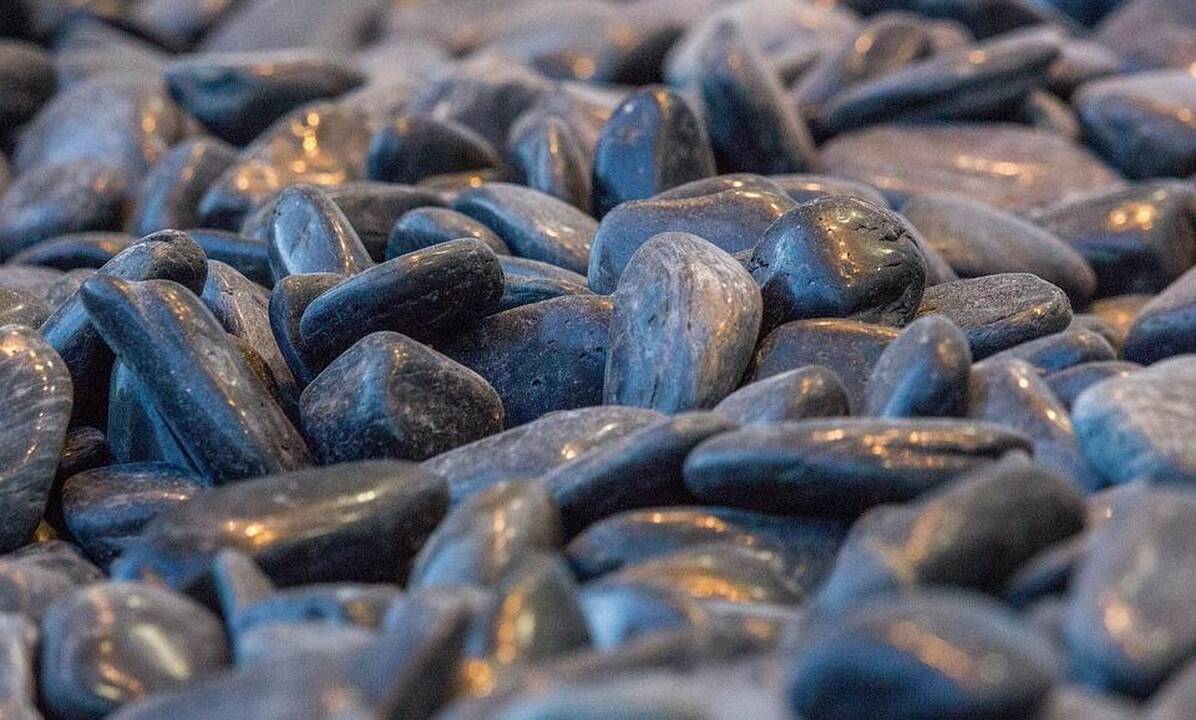 Mokyklose nuo ginkluotų užpuolikų ketinama gintis... akmenimis