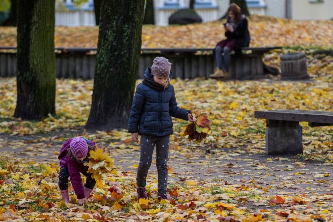 Naudingas laisvalaikis: ką veikti lauke atvėsus orams?